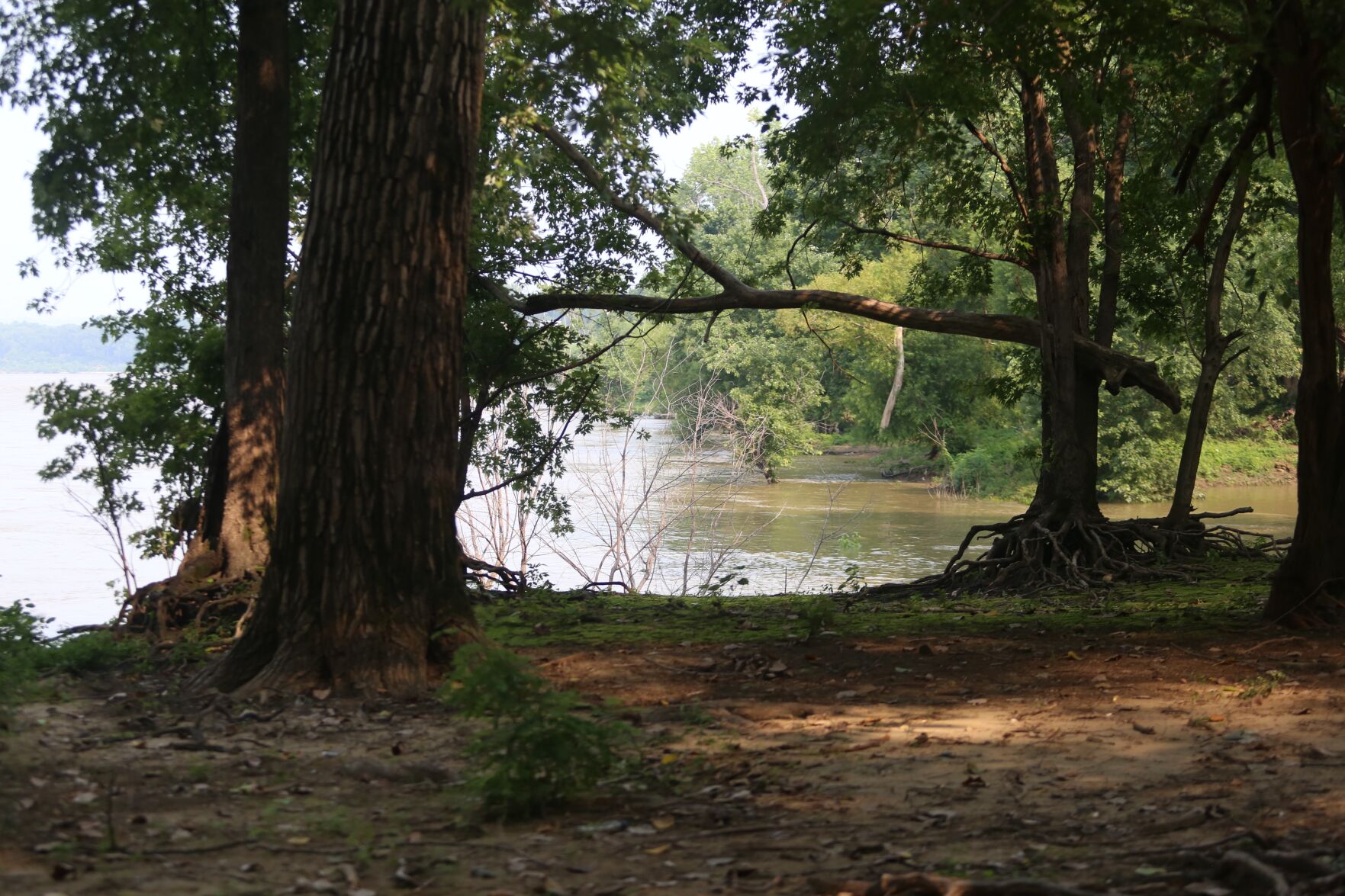 Falls of the Ohio-1